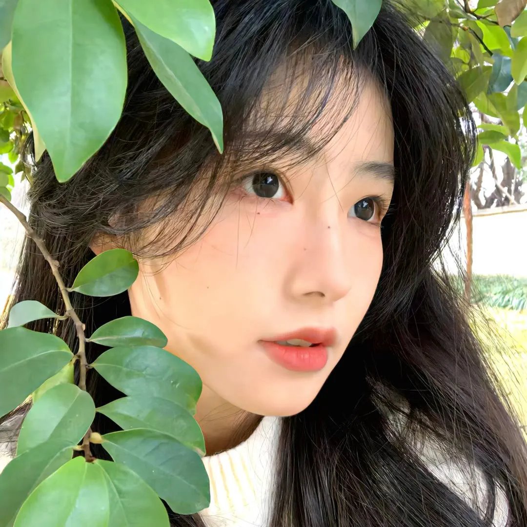 战火中的小狐狸