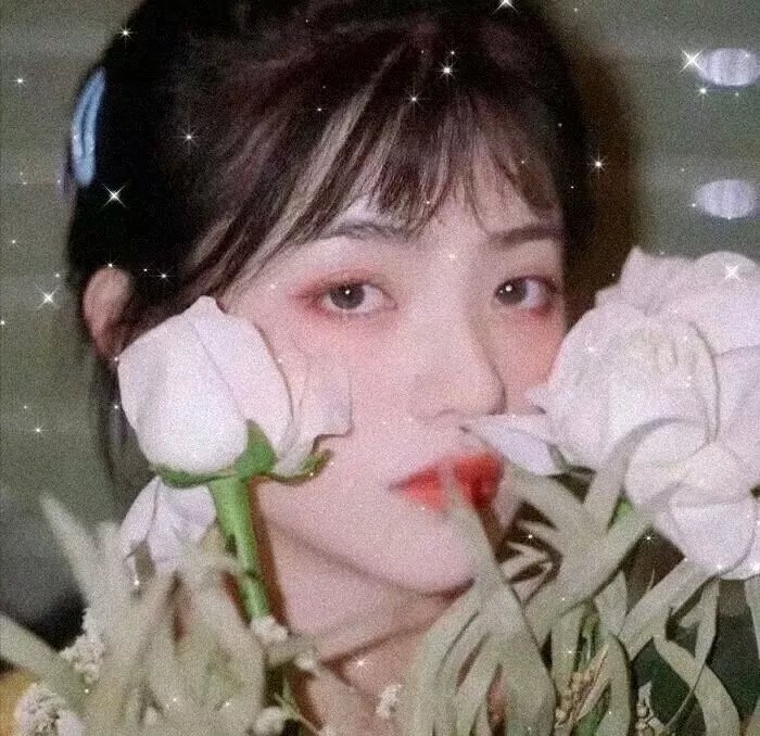 长安侠影之天谴之谜